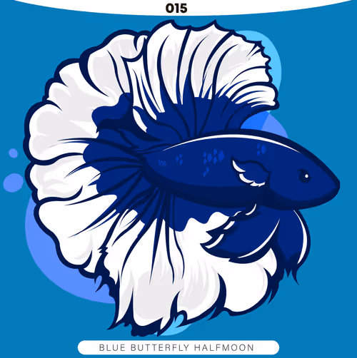 Item #71915282176282174012632358448723633474544225318645324977784202298796252594177 Media