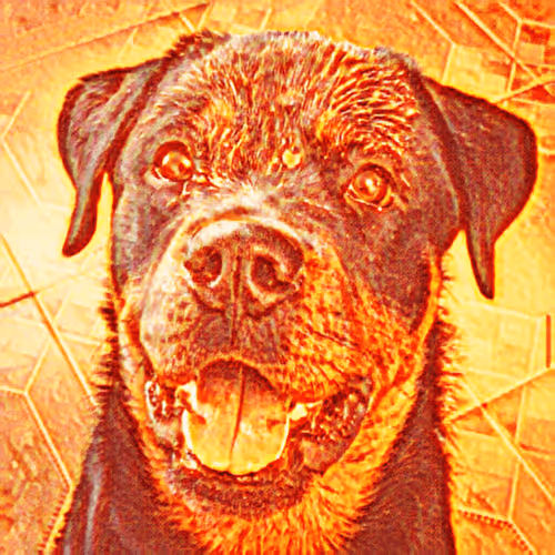 Item #7678098862480869732198640215548033609718490980890964392803254909312144769074 Media