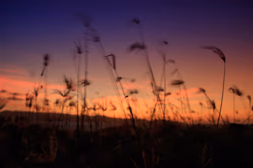 Item #41016340276136272437593840825708258407037396830717987725794146094198774824961 Media