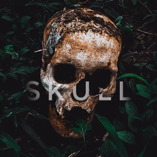 Item #25616082582926581849828542289953210650844898071757148195180127654051030499329 Media