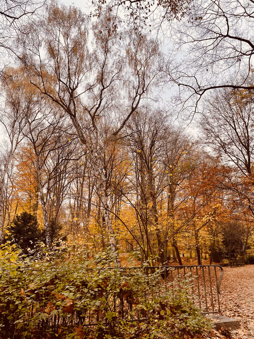 Item #35339417924445304267052449174579644074826086506751043788329225529039685419013 Media