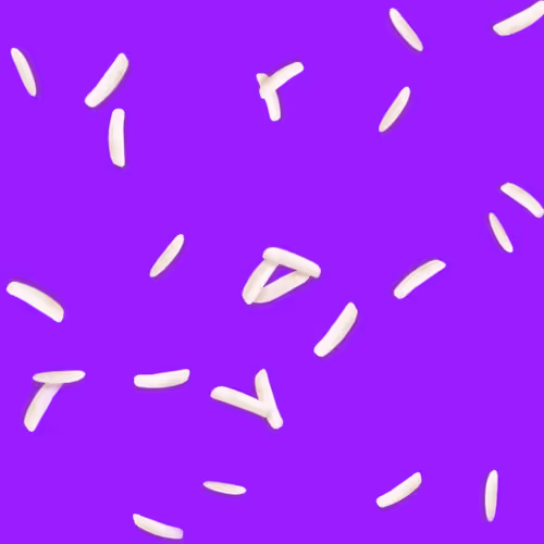 Ricegrains Zip7F9vsae