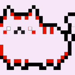 block cat