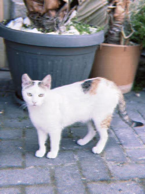 Item #102650025238985064889532626323507420633017859616961165632132730091442175737857 Media