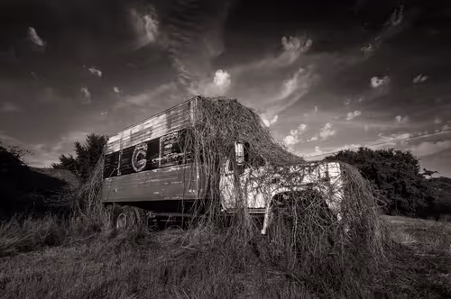 Item #12745649856637051747858071481456446467112192728356936044427916870274902917130 Media