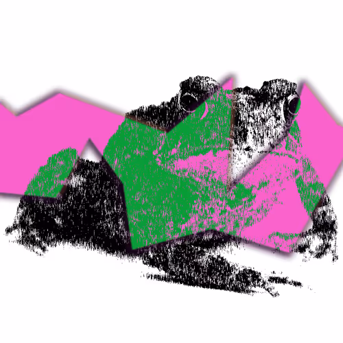 Item #60839276870702459536115980663435026977207856631347422568339333096539848441857 Media