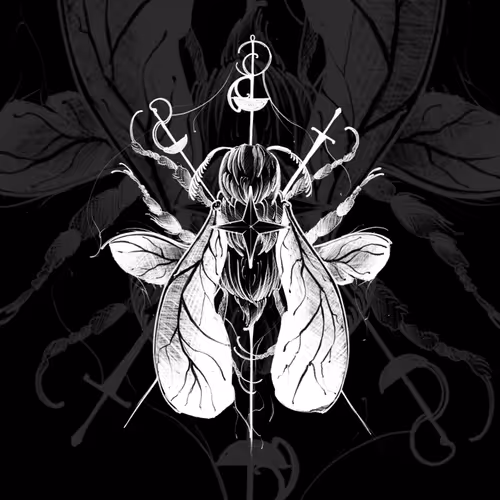 18347898023236975899796590148230705284912920081455394743652603005300146962433