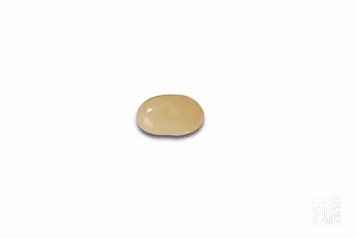 Item #34288198683824646817479298075018034990113289897653959240926725654557329719297 Media