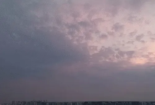 Item #54545336870129037164307986437789858251348704753246412266065009444860203106305 Media