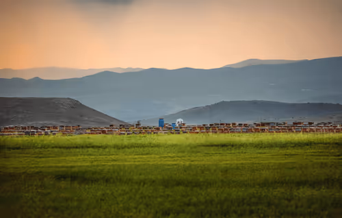 Untitled Collection #119178641 - old