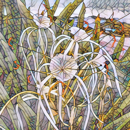 Item #43190579806433981010774040212734353374582811192863113586455236116607607504897 Media