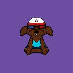 Peachy Poodle #3712