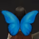 9769835622664438424156708886130512457179544424738544422408548554096213229578