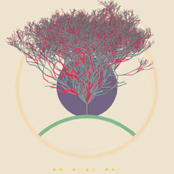 74168867016011539093366687608765447348507224284888477074887990315811992502273