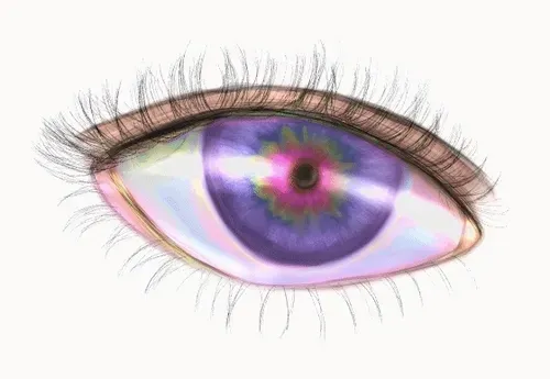 Item #42950694591796666568266939449637019646211598636303907727097118059508453605377 Media