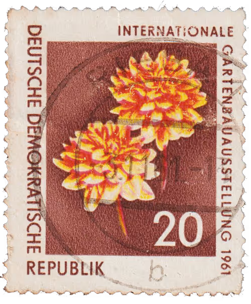 Item #36928828717643675900437569795538987988773281266085500979873831738351883911169 Media