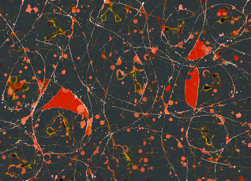 23807547862851357141853996565894485523710675712964198116484925006808046632961