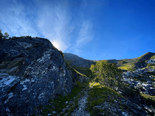 Item #36336170879608208403963751604494433054462935544758920663222913841779615727617 Media