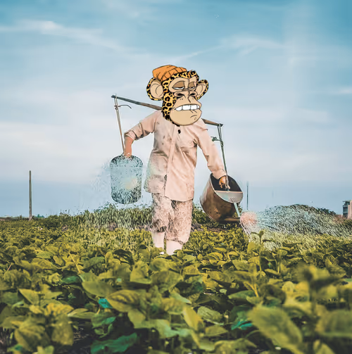 Item #97645797813516552540284553917101407812824492457332404064848304005665012056065 Media