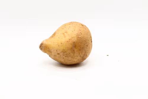 Item #97726151104522163495278545296769301934737660224123995419035737049822207672321 Media