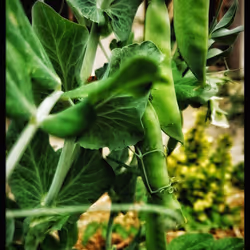 3787080761074609709675817509753112159059746763483256848434353904142570749953