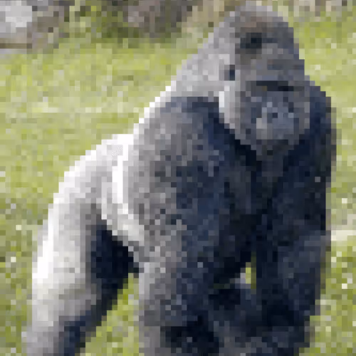 Untitled Collection #18182001