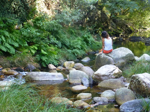 Item #43879787019181324380889121927246652484173095409087023942912875768776488910849 Media