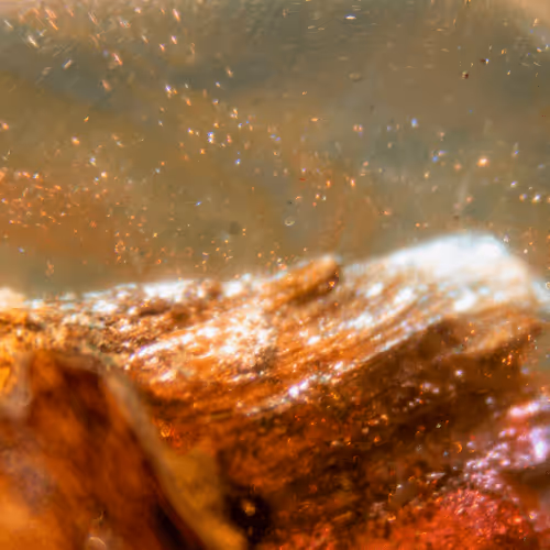 Item #8251270981130702250905355697814279819197198943221984468281114927197646225409 Media