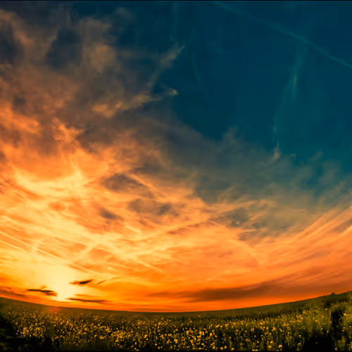 Untitled Collection #49690929