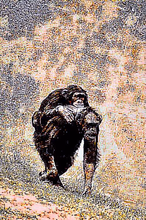 Item #105394010161551018097936078642910549059002323015222353178191530192123503575041 Media