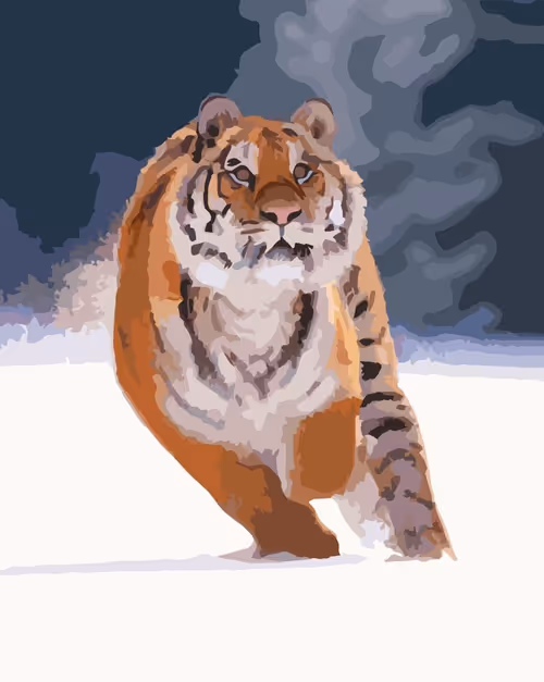 Item #80618145356985588633473514912058391618374773880156573244733306928897607074792 Media