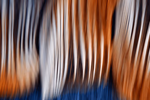 Item #23265726314410109476129301555838572111439838682222879854994045042472630878209 Media