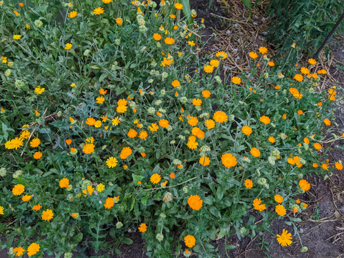 Item #41983459946325006344850038724007157971914249844141491949312563963244184600577 Media