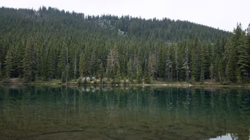 Item #2005862319158051831365229387864138466486092287762213337058068741719259611137 Media