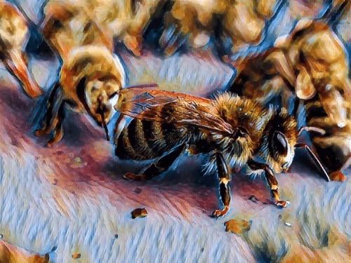 Item #101599579626109009666607068920778550362968334718480795982881728445177246253057 Media