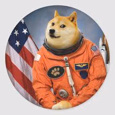 Item #37442692769715142901481222567017824639786956438597409056524288775235355803649 Media