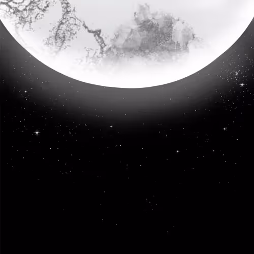 Item #35586356553759399835047968012029728161986993210111102782297858710865421795329 Media