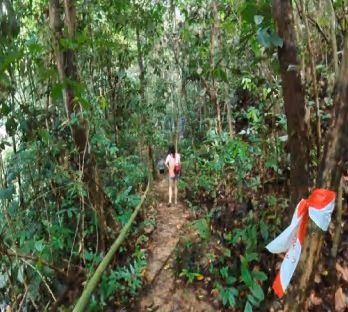 Item #112890546658256020010582806142822208368598146166269360880018245389062078726145 Media