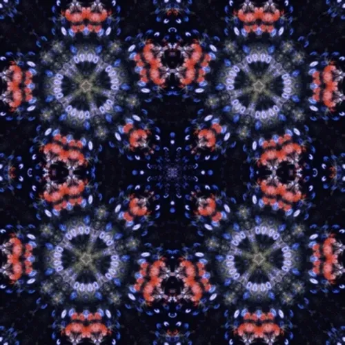 Item #33273431064062745158281459223994481396408298461003960329838769674439834468357 Media