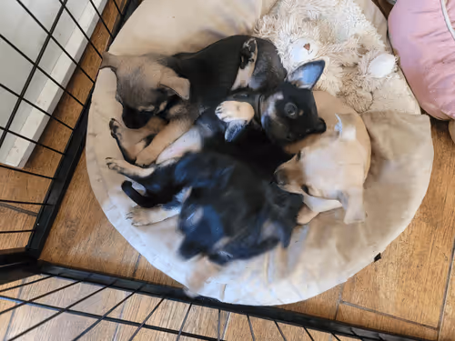 Item #108040471813833382289892202088336865394955563527718793074050961446935338156036 Media