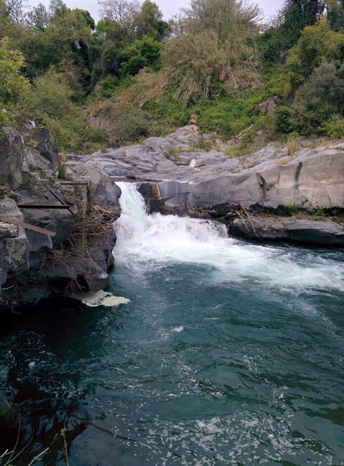 Item #56287055780979128950245095664156082691230445151418642547794192068402674139137 Media