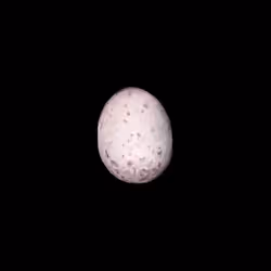 23926592722501241653088435874563475503424690857757904009928287700882145935361