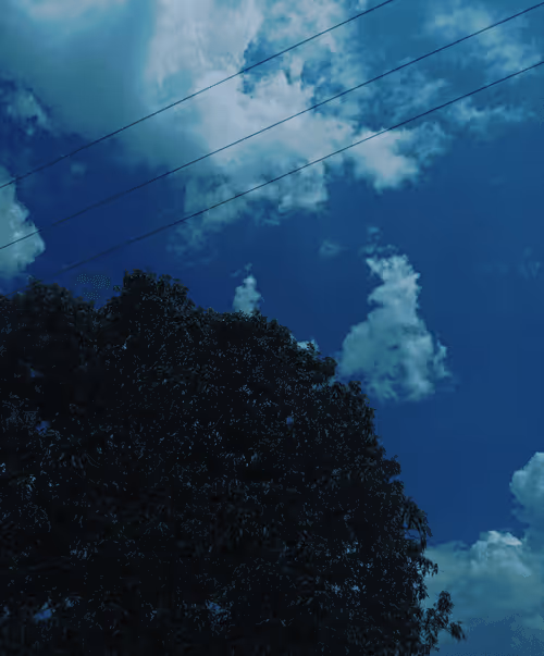 Item #31630153570856376306823190800149033505435787599311266983693315946251687034881 Media