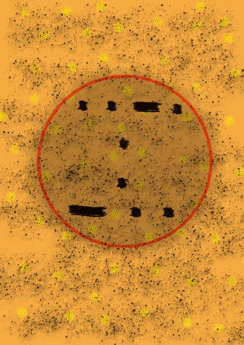 Item #42828633583342748953011678568639331296590951934285161443545613855367649820673 Media