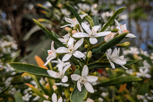 Item #39075669952795110311488058078452160275975432518977374571902800573934809907201 Media