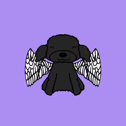 Item #115235947819447045206116047394293711493404383168680402050012768713176208375809 Media