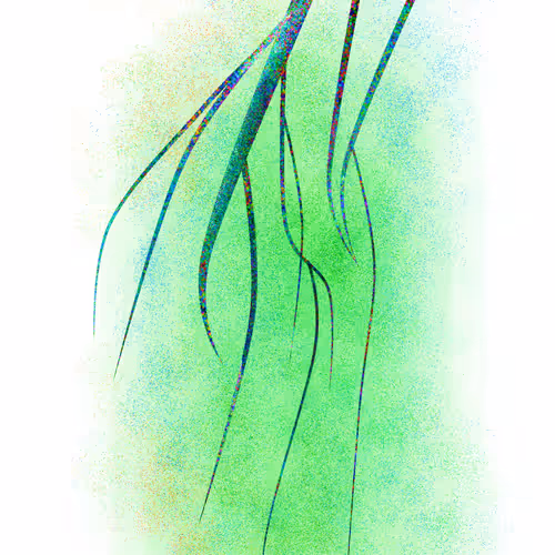 Item #54223942118458018475773761912515880898679735035654901743236843628864259227649 Media