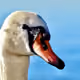 54588132857183602576600285462303728493476261186696059170989891525315882123265