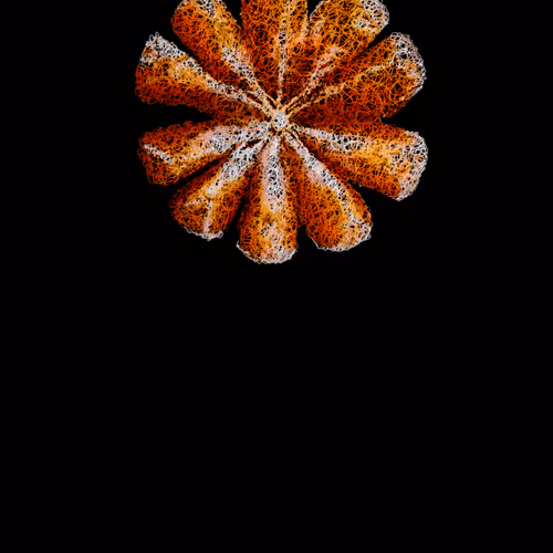 Item #20286817641922993541065929101952433978531825078991625494647867387589194416129 Media