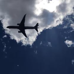 Take Flight